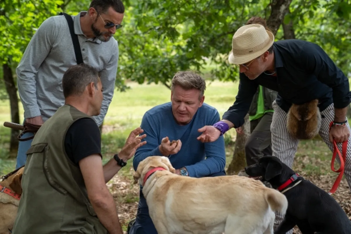 Gordon, Gino a Fred na cestách - fotogaléria
