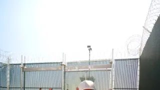 Psie príbehy