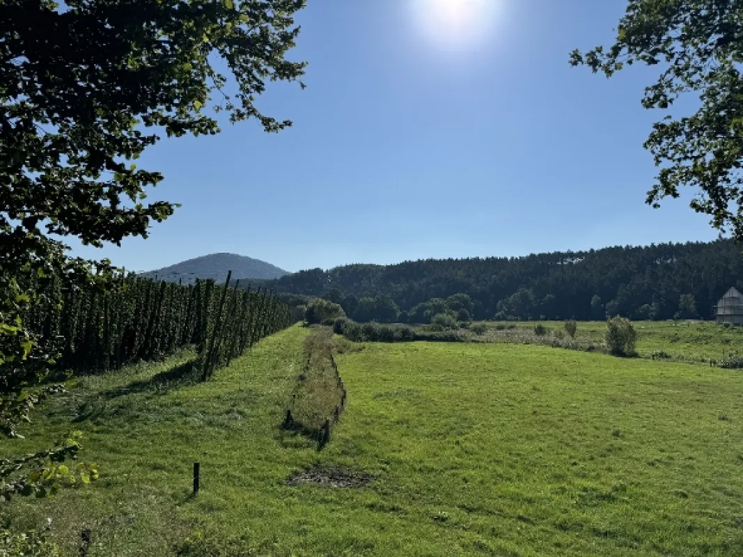 Po nás potopa nebude - fotogaléria