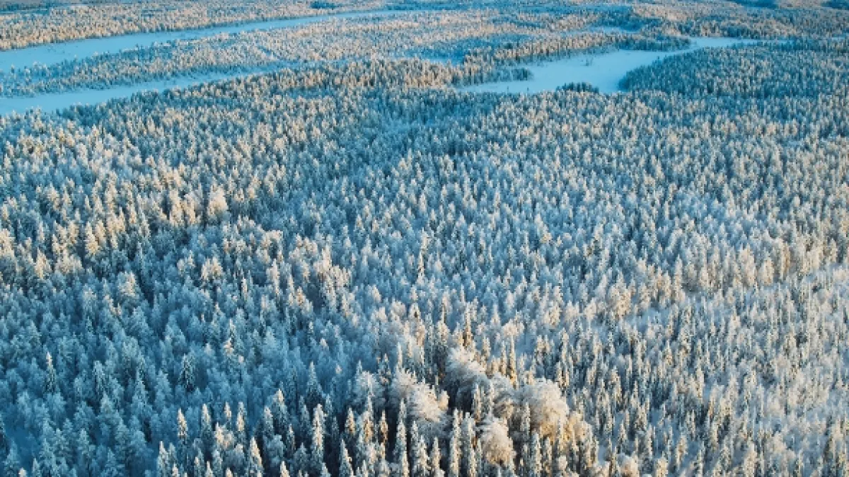 Zázračná planéta: Zelená planéta - fotogaléria