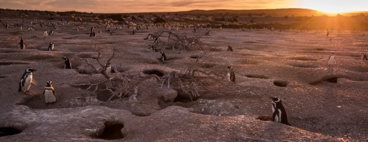 Divoká Patagónia - fotogaléria