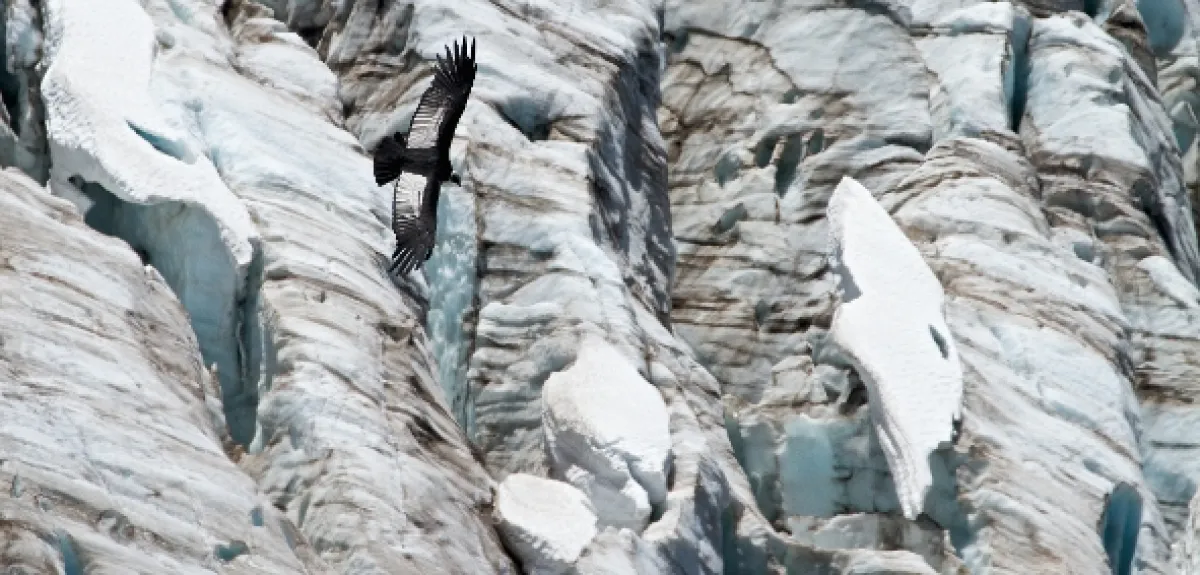 Divoká Patagónia - fotogaléria