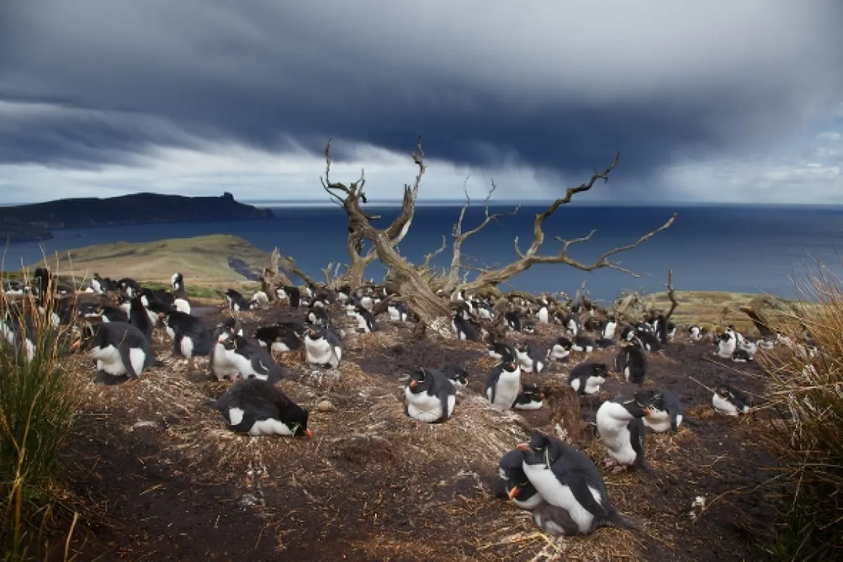 Divoká Patagónia - fotogaléria