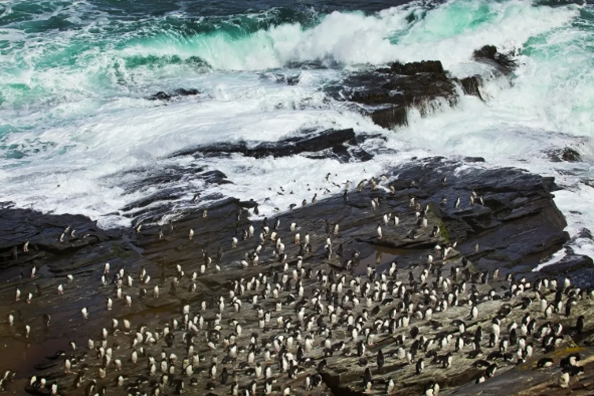 Divoká Patagónia - fotogaléria