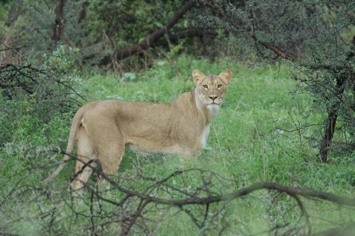 Na cestě po jihoafrické Mpumalanze, 2016 - fotogaléria