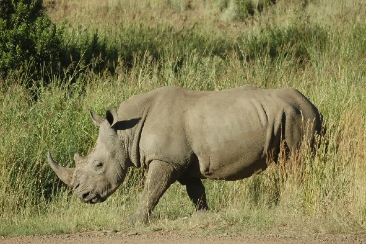 Na cestě po jihoafrické Mpumalanze, 2016 - fotogaléria