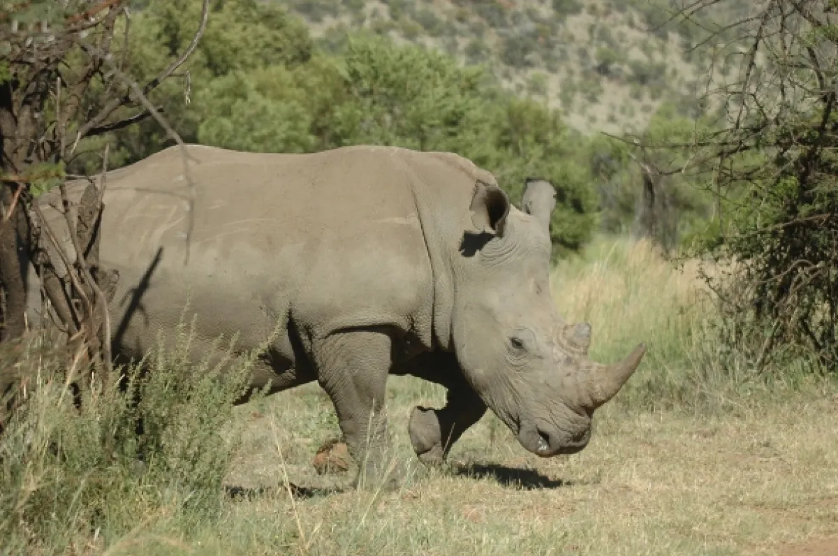Na cestě po jihoafrické Mpumalanze, 2016 - fotogaléria