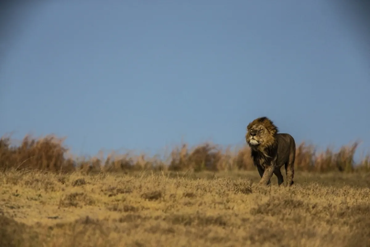 Okavango - rieka snov - fotogaléria