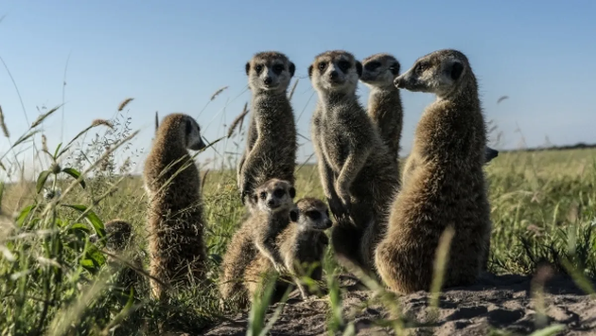 Okavango - rieka snov - fotogaléria