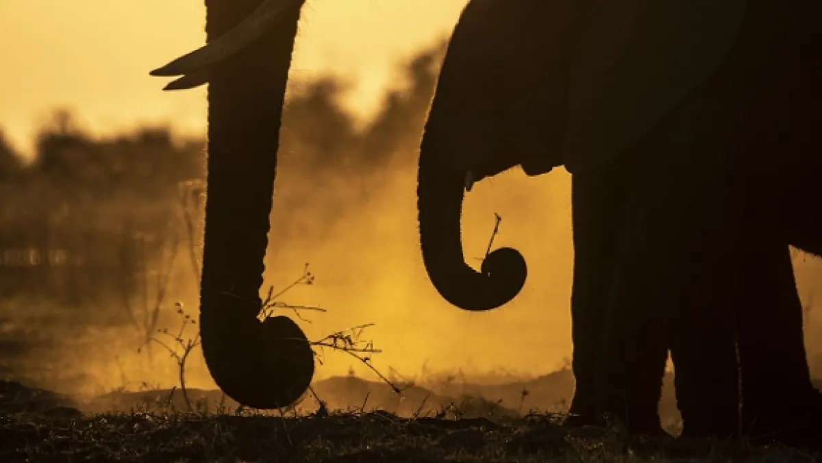 Okavango - rieka snov - fotogaléria