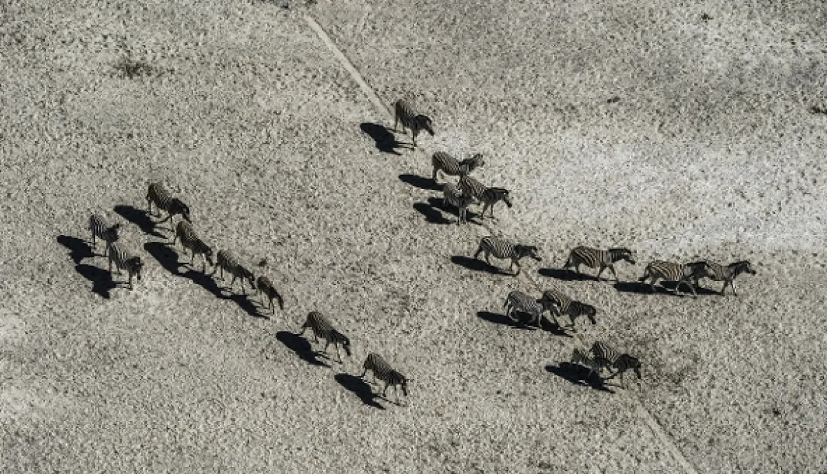 Okavango - rieka snov - fotogaléria