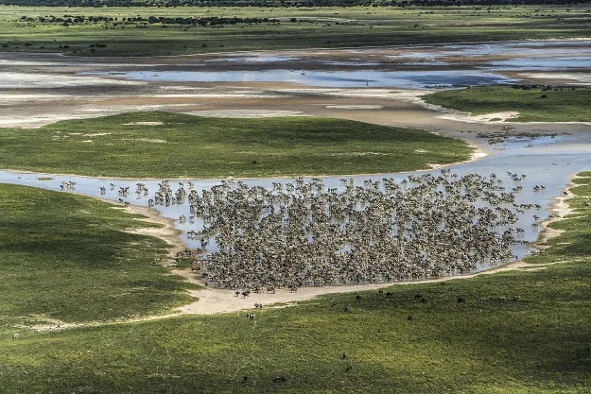 Okavango - rieka snov - fotogaléria