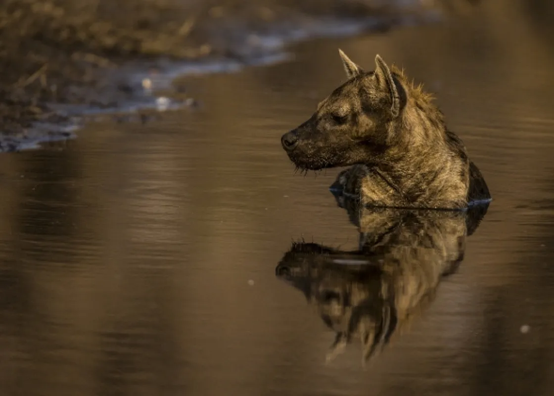 Okavango - rieka snov - fotogaléria