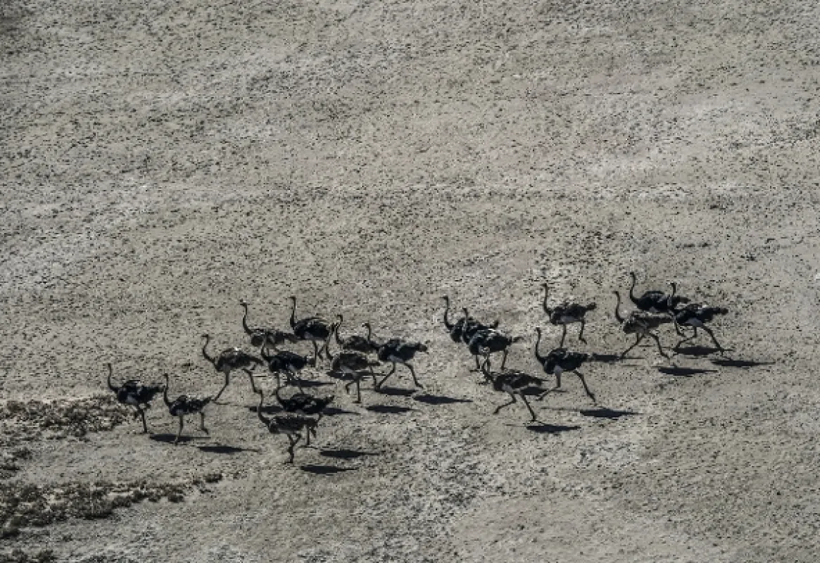 Okavango - rieka snov - fotogaléria