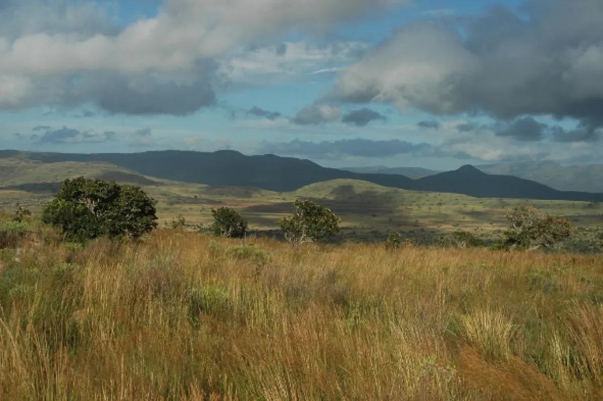 Na cestě po jihoafrické Mpumalanze, 2016 - fotogaléria
