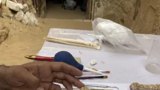 Egypt: Pohrebisko posvätných býkov