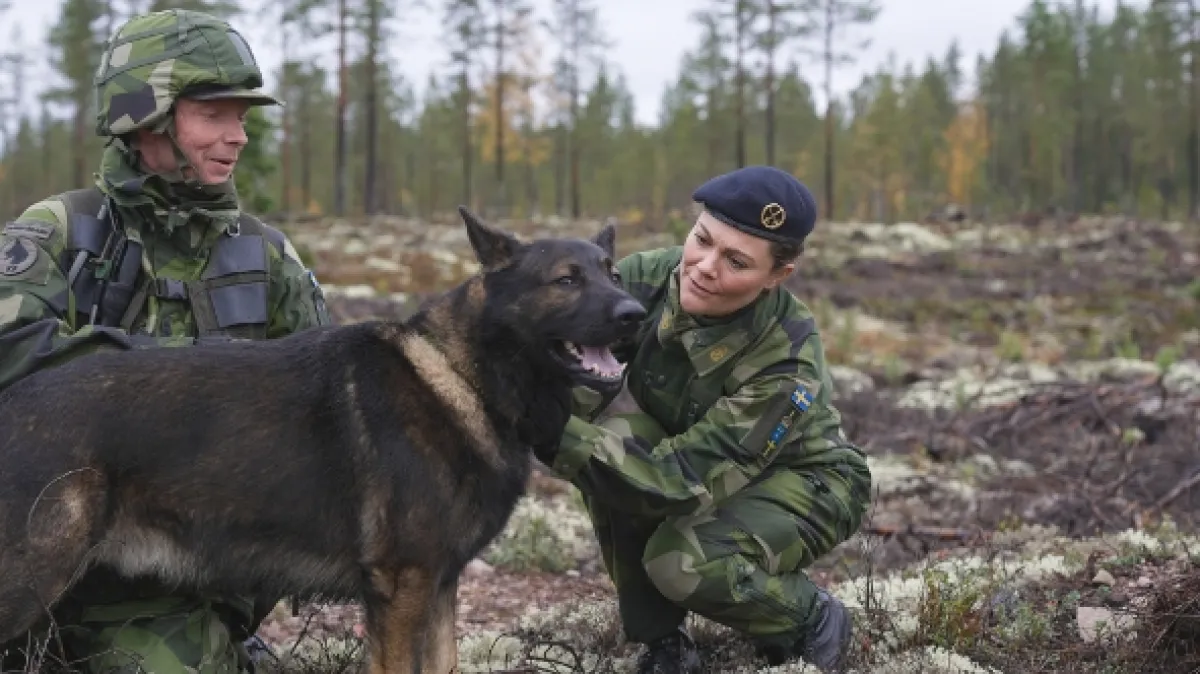 Rok so švédskou kráľovskou rodinou - fotogaléria