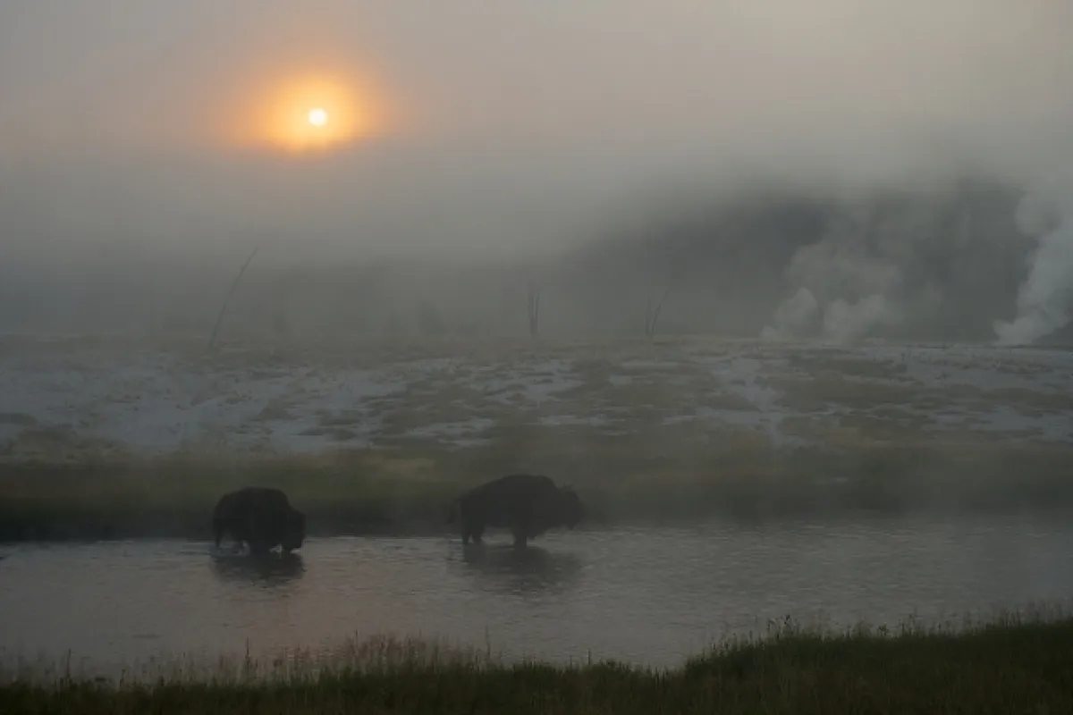 Začalo to v Yellowstone - národné parky USA a ich príroda - fotogaléria