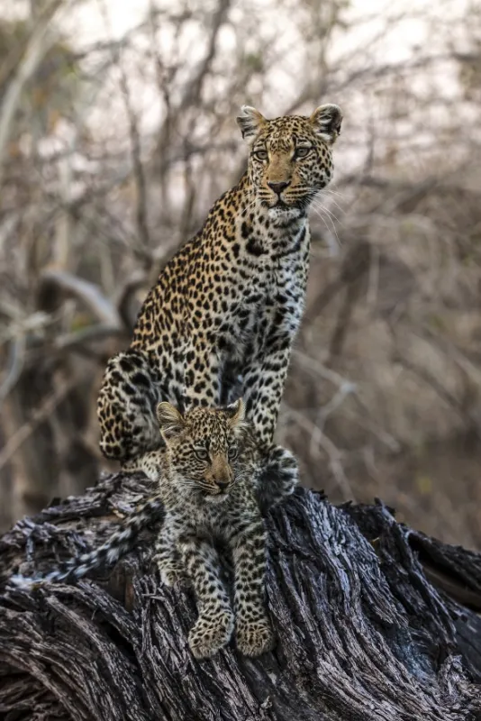 Okavango - rieka snov - fotogaléria