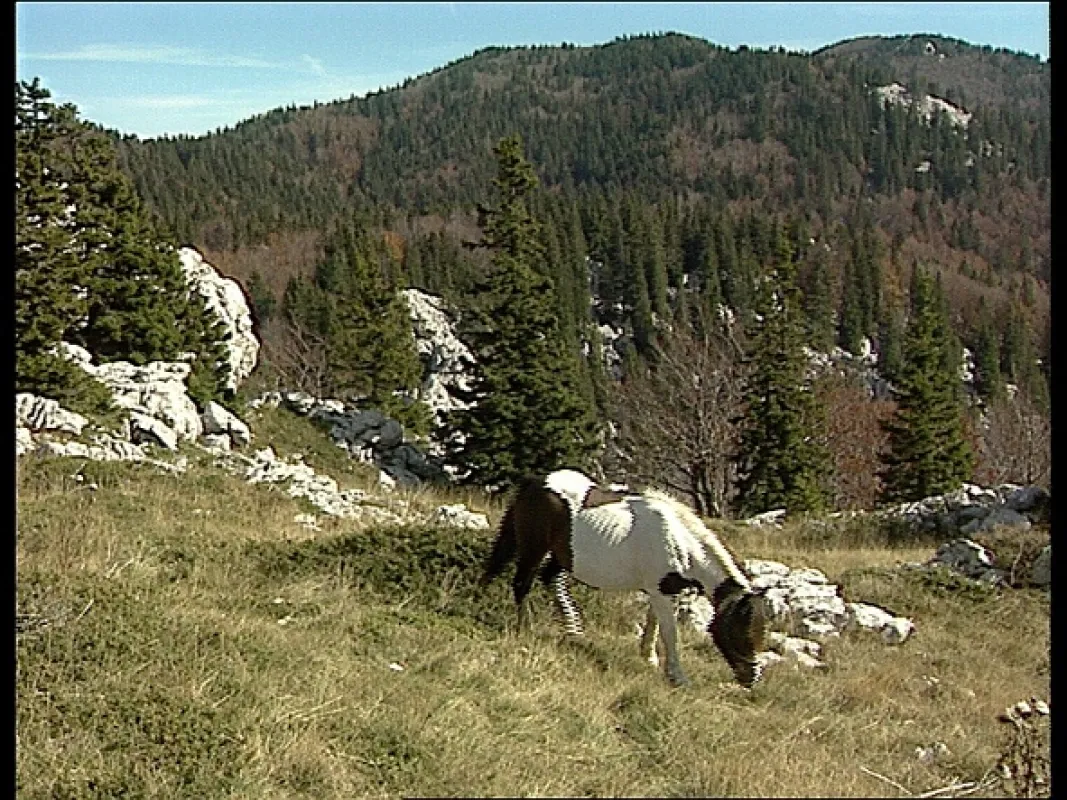 Chorvatské národní parky, 2007 - fotogaléria