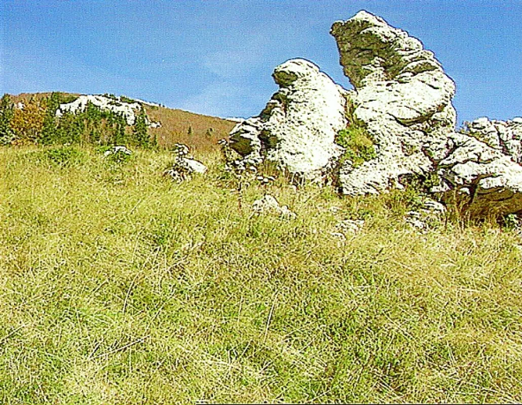 Chorvatské národní parky, 2007 - fotogaléria