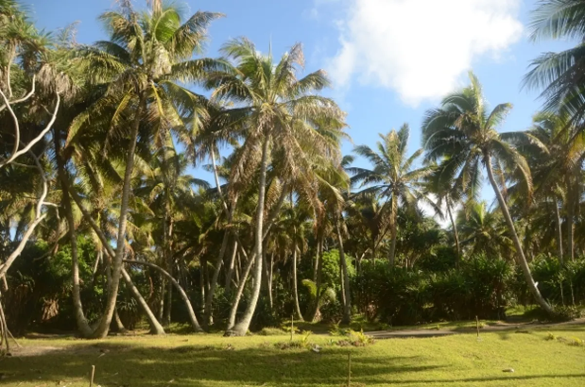 Na cestě po Vanuatu, 2014 - fotogaléria