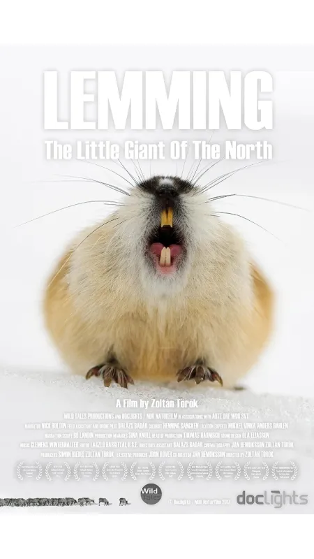 Lumík: Malý gigant severu (Lemming), 2017 - fotogaléria