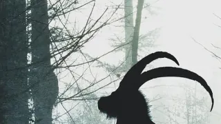Prokleté dějiny (5)