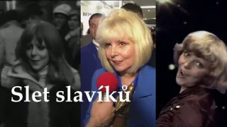 Slet slavíků