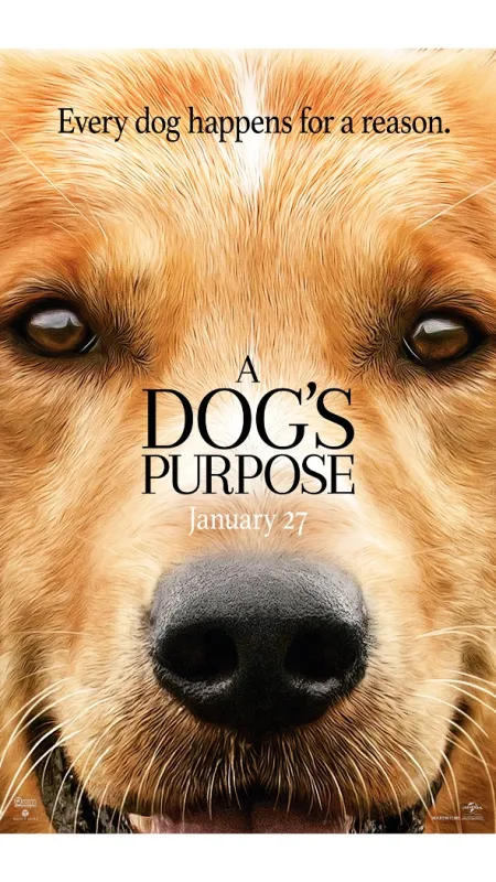 Psí poslání (A Dog’s Purpose), 2017 - fotogaléria