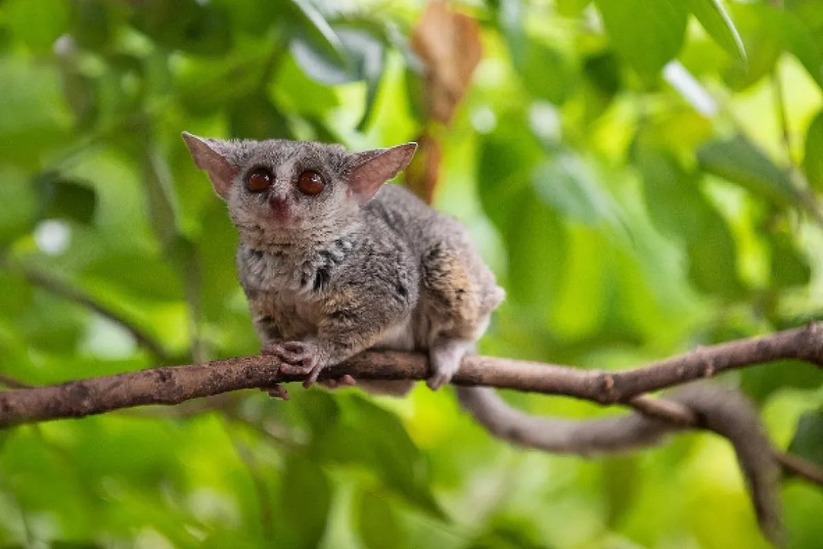 Africká abeceda, 2019 - fotogaléria