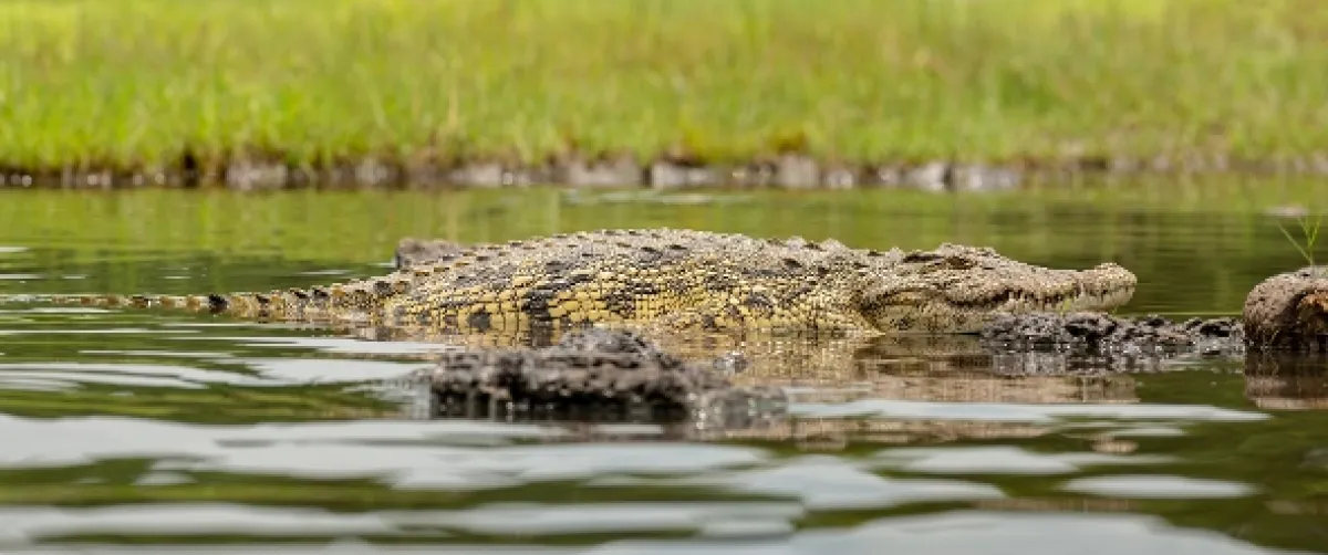 Africká abeceda, 2019 - fotogaléria