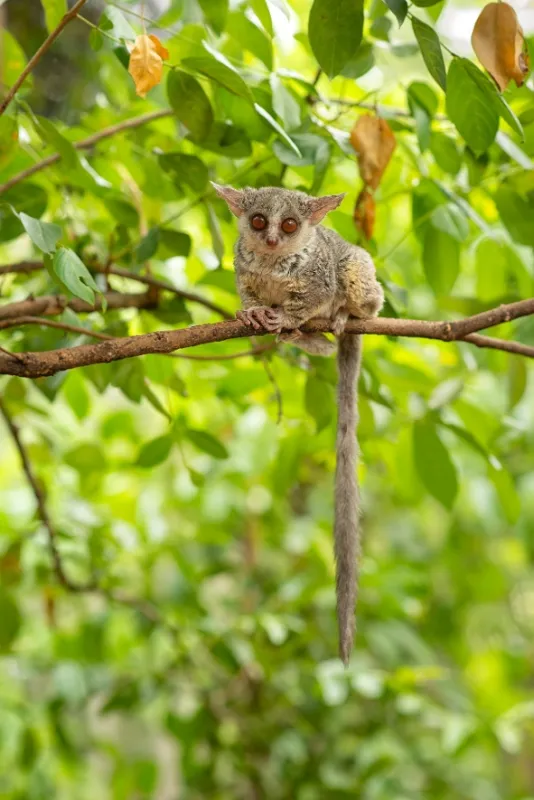 Africká abeceda, 2019 - fotogaléria