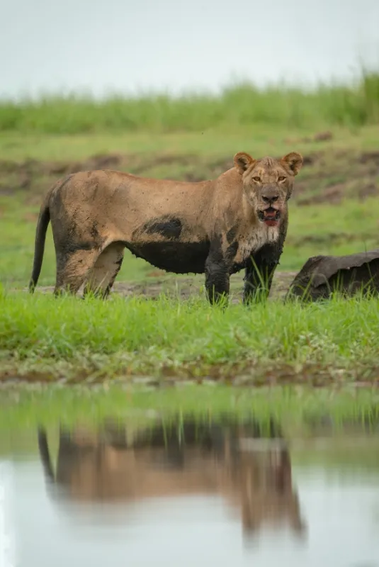 Africká abeceda, 2019 - fotogaléria