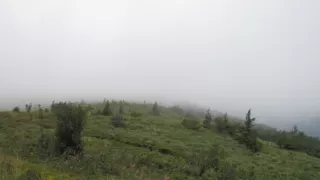 Divočina bez hranic (7)