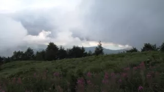 Divočina bez hranic (7)