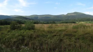 Divočina bez hranic (7)