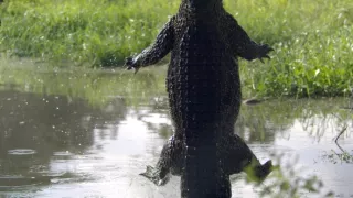 Život a smrť v raji (2/2)