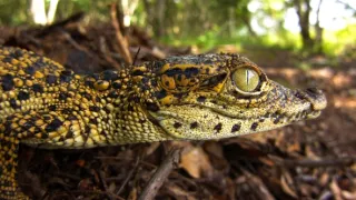 Život a smrť v raji (2/2)