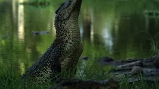 Život a smrť v raji (2/2)