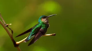 Život a smrť v raji (2/2)