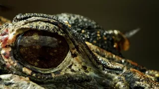 Život a smrť v raji (2/2)