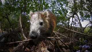 Život a smrť v raji (2/2)