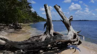 Život a smrť v raji (2/2)