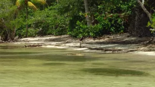 Život a smrť v raji (2/2)