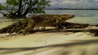 Život a smrť v raji (2/2)