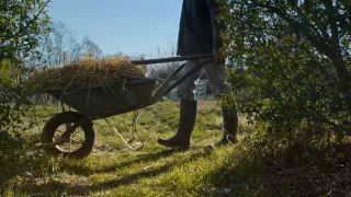 Tajuplný život zahrady