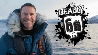 60 zabijakov divočiny IV