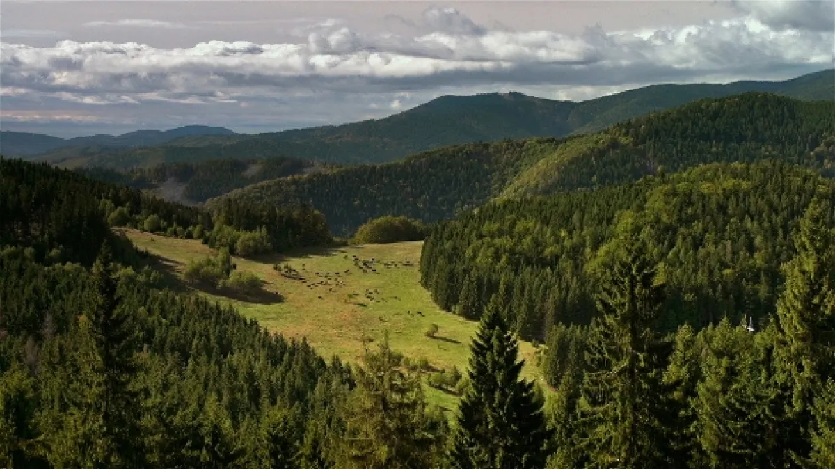Vo vetre kopýt, 2013 - fotogaléria