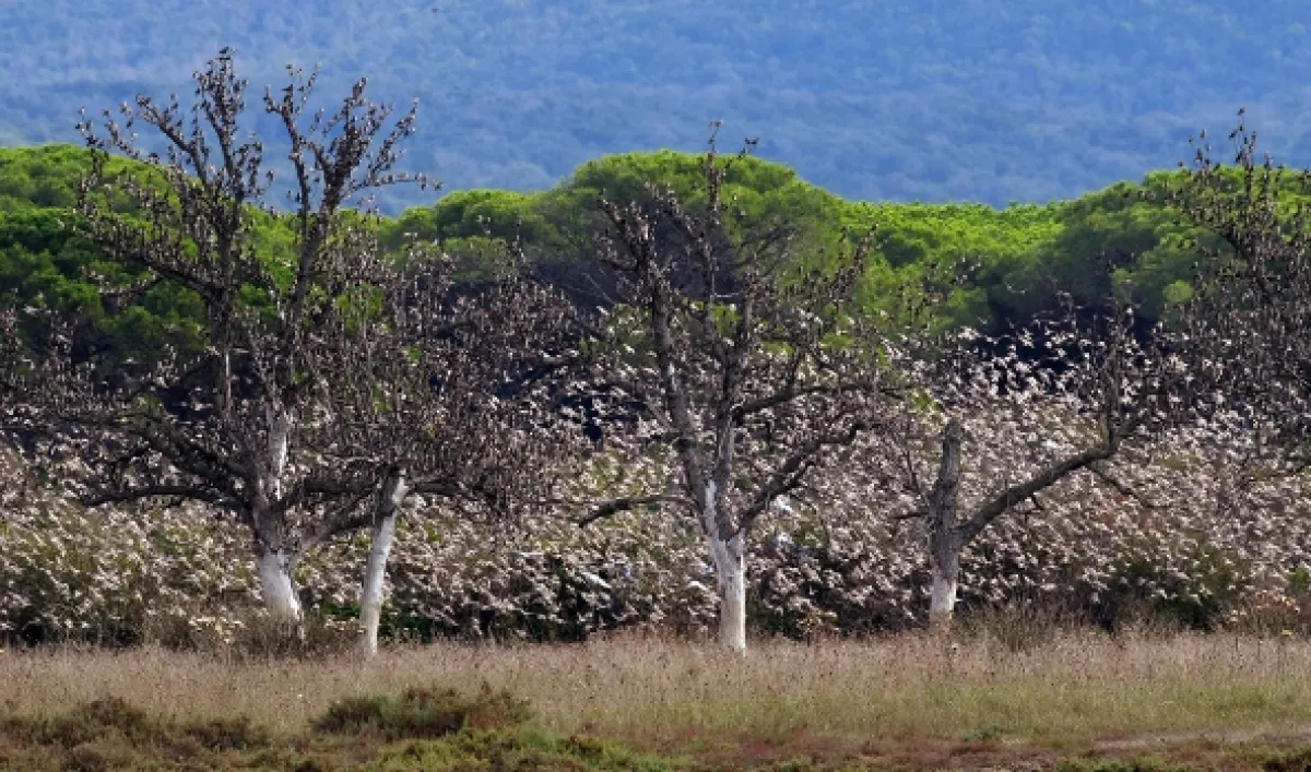 Maremma - přírodní skvost Toskánska - fotogaléria